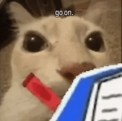 Gato fazendo anotações